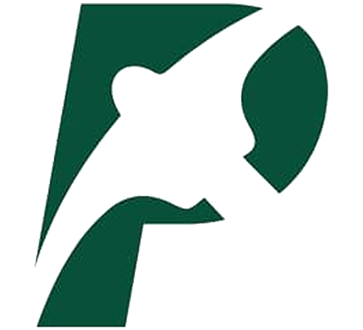 Best-Marketing-Consultancy-logo